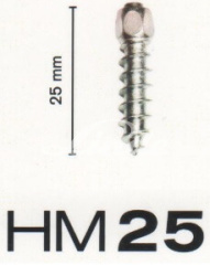 Шипы HM25 (200 шт)